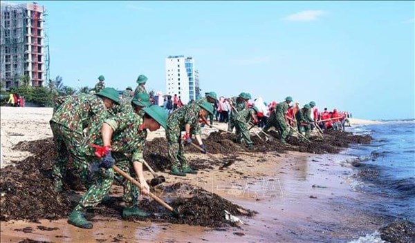 Ban hành 11 quy trình thực hiện thủ tục hành chính về bảo vệ môi trường