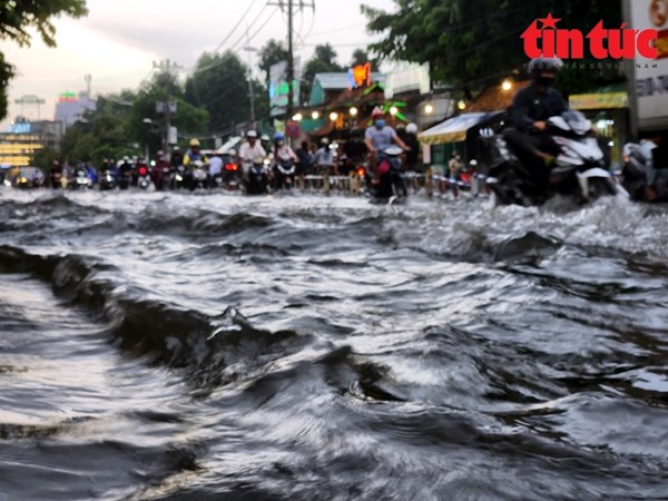 Thành phố Hồ Chí Minh chủ động các biện pháp phòng chống, ứng phó đợt triều cường giữa tháng 1 năm 2024