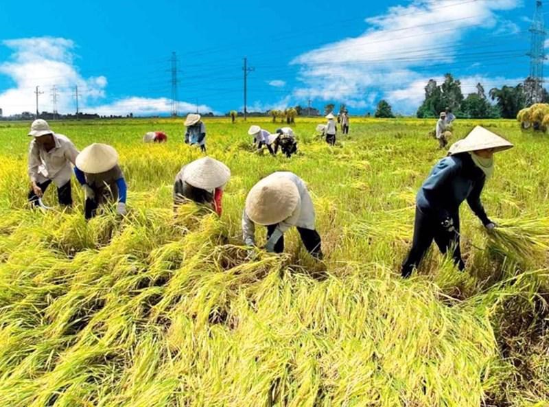 <a href="/gioi-thieu/cac-chinh-sach-ho-tro-giam-ngheo-ben-vung-thanh-pho-ho-chi-minh-giai-doan-2021-c244-13825.aspx">Các Chính sách hỗ trợ giảm nghèo bền vững Thành phố Hồ Chí Minh giai đoạn 2021-2025</a>
